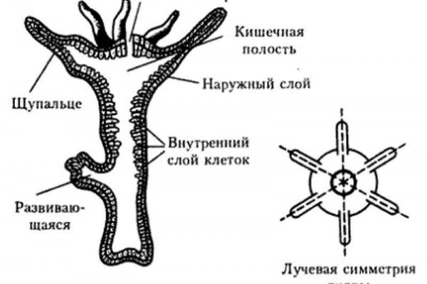 Kraken ссылка kraken014 com