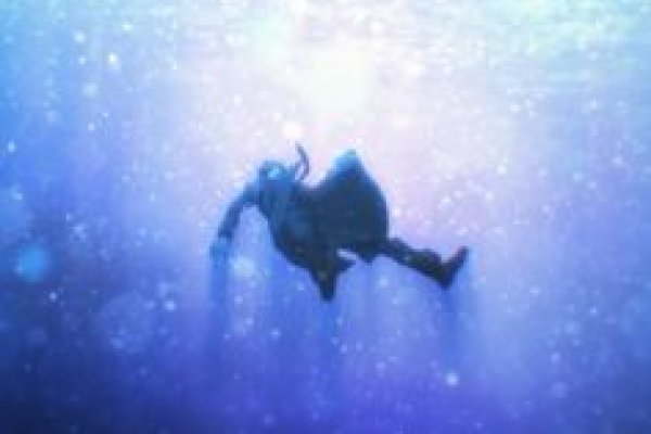 Kraken com зеркало