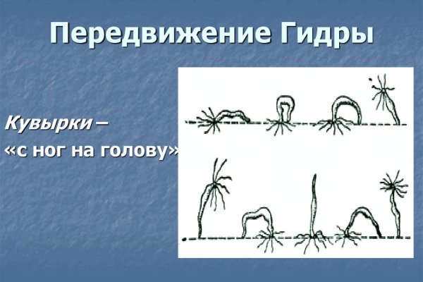 Как зарегистрироваться на кракене из россии