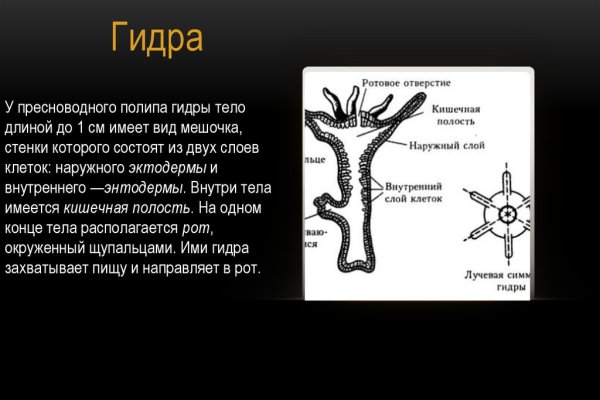 Найти ссылку на кракен