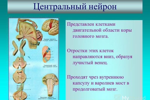 Кракен ссылка онлайн
