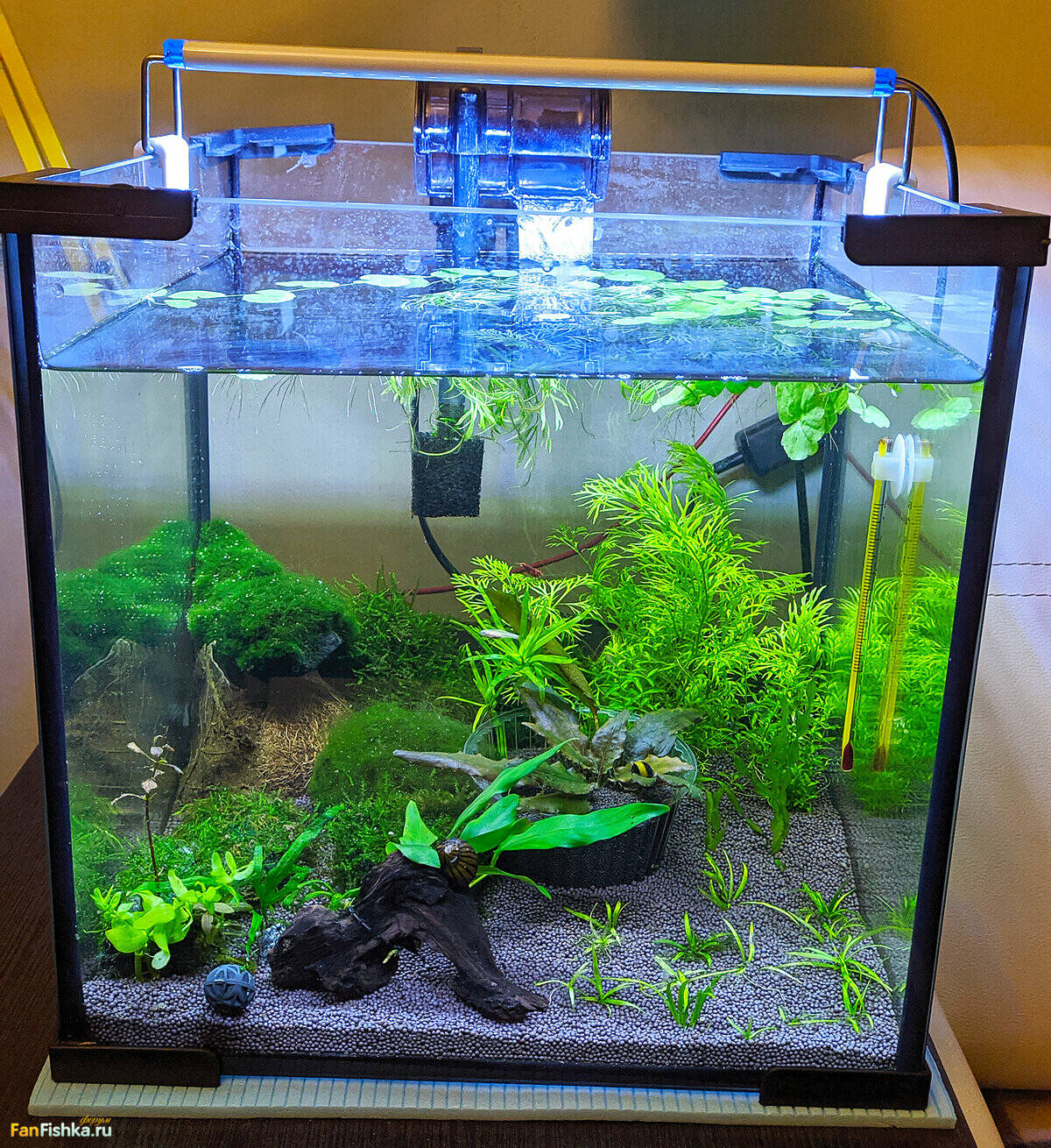 Kraken ссылка kraken clear com
